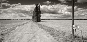 Oderbruch (1)