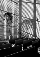 Schatten