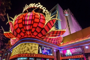Las Vegas (10).jpg