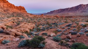 Nevada-19-007