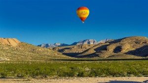 Nevada-19-017