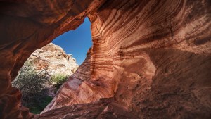 Nevada-19-020