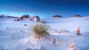4.T. wihte Sands 001