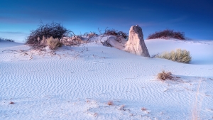 4.T. wihte Sands 003