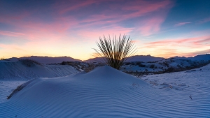 4.T. wihte Sands 007