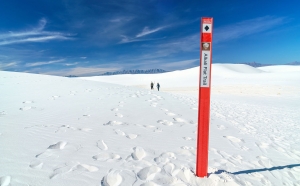 5.T. wihte Sands 005