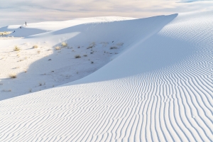 5.T. wihte Sands 039