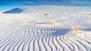 5.T. wihte Sands 042