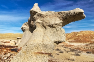Bisti Wilderness 023