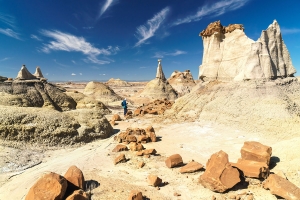 Bisti Wilderness 004