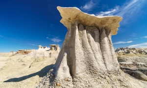 Bisti Wilderness 008