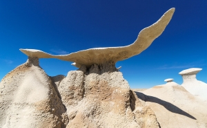 Bisti Wilderness 010
