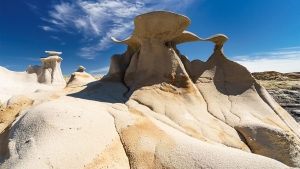 Bisti Wilderness Stonewings