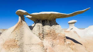 Bisti Wilderness, Stonewings 003