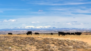 Angus Rinder, Chaco Canyon 006