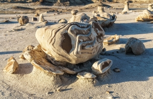 Bisti Wilderness 040