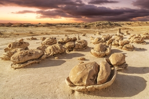 Bisti Wilderness 042