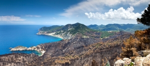 Brandpanorama 2011 (2)