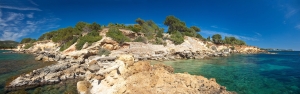 Cap Niu Blau