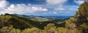 Pan.Tal v.Portinax