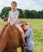 bei den Pferden (4)