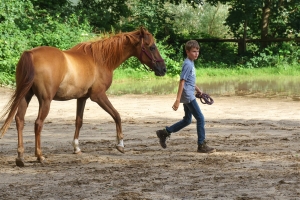freie Arbeit (1)