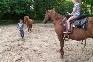 freie Arbeit (2)