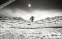 Poster-landscape-002