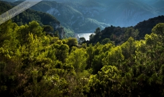 Poster-landscape-005