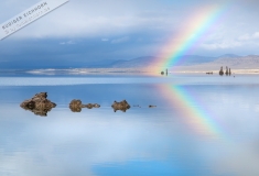 Poster-landscape-007