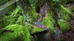 Poster-landscape-009