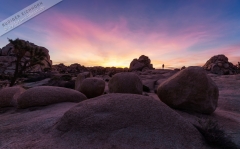 Poster-landscape-010