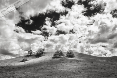 Poster-landscape-019