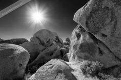 Poster-landscape-021