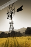Poster-landscape-025