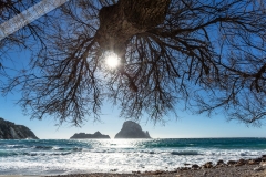 Poster-Meer-008