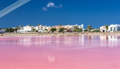 Poster-Meer-019