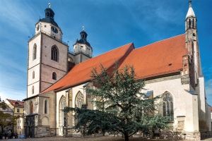 Sankt Marien zu Wittenberg 2015 (11)