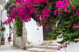 Dalt Vila Juli  (11)