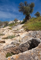 Museum Necropolis (27)