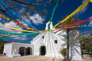 Patron.San Vicente  (2)