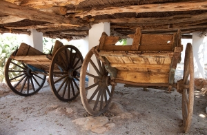 Pferdekarren san Juan