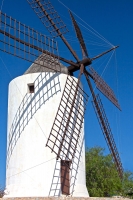 Puig de Molin