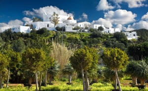 Puig den Missa  (1)