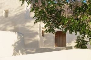 Puig-den-Missa-Santa-Eularia-17-005