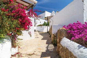 Puig-den-Missa-alte-Finca-17-006