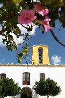 Santa Gertrudis (38)