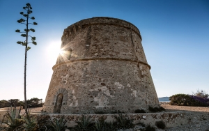 Torre de Rovira SU  (1)
