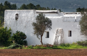 alte Finca Buscastell (3)