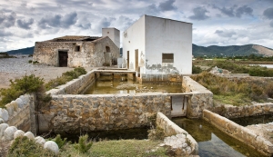 codolar salinas (3)